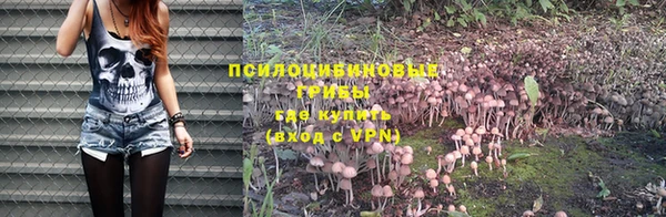 2c-b Нефтекумск