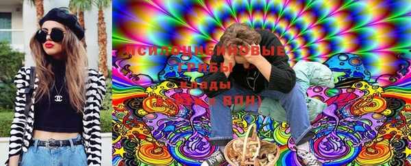 прущие крисы Абинск