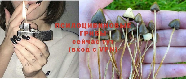 jwh Белая Холуница