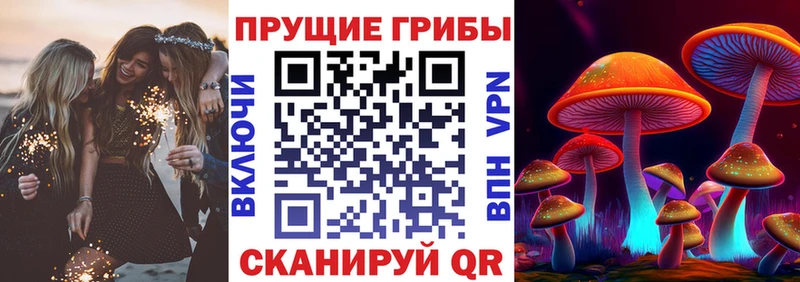 Галлюциногенные грибы Psilocybe  Красково 