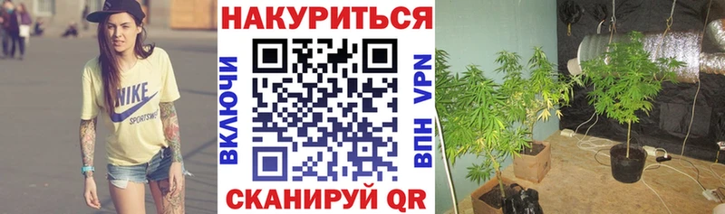 сколько стоит Красково Каннабис White Widow